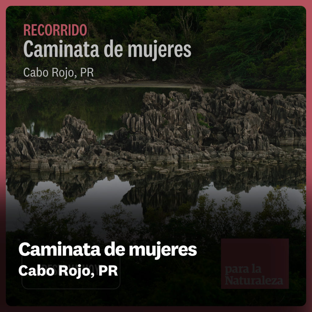 Caminata de mujeres