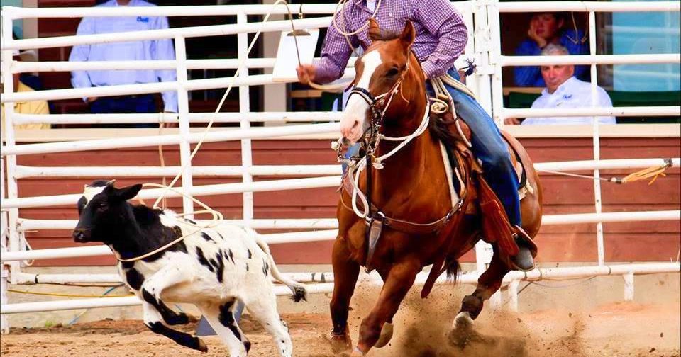 Blue Ridge Kiwanis Rodeo 2026