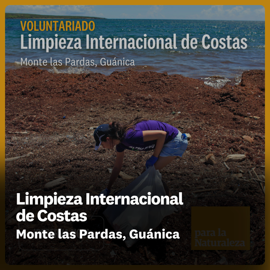 Monte las Pardas, Gu&aacute;nica