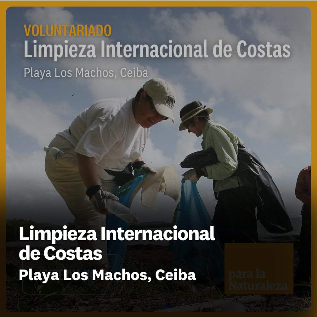 Playa Los Machos, Ceiba