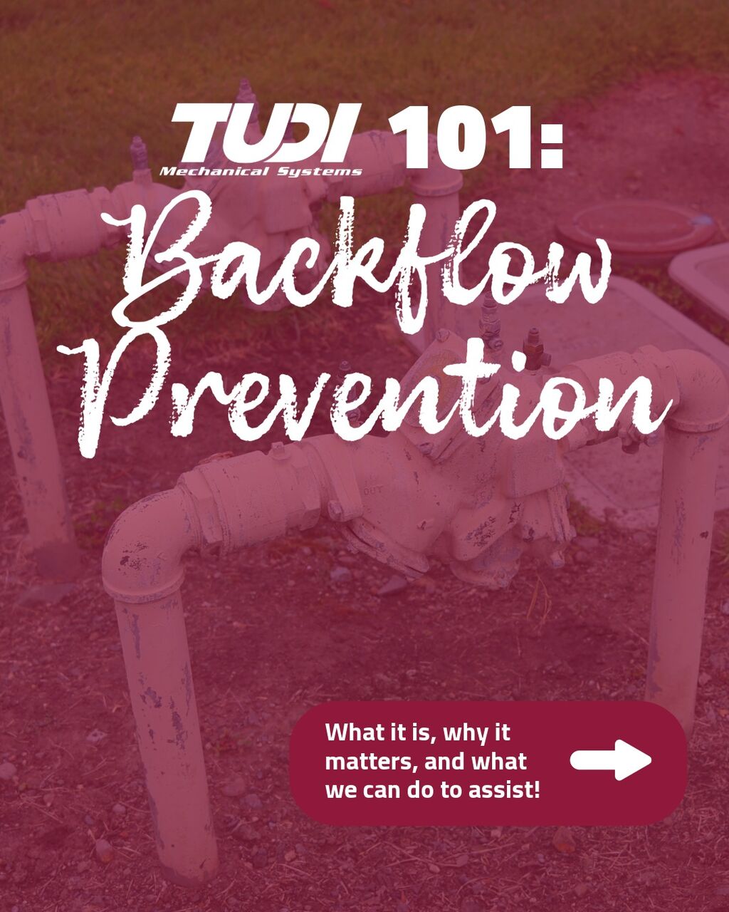 Backflow Prevention Day