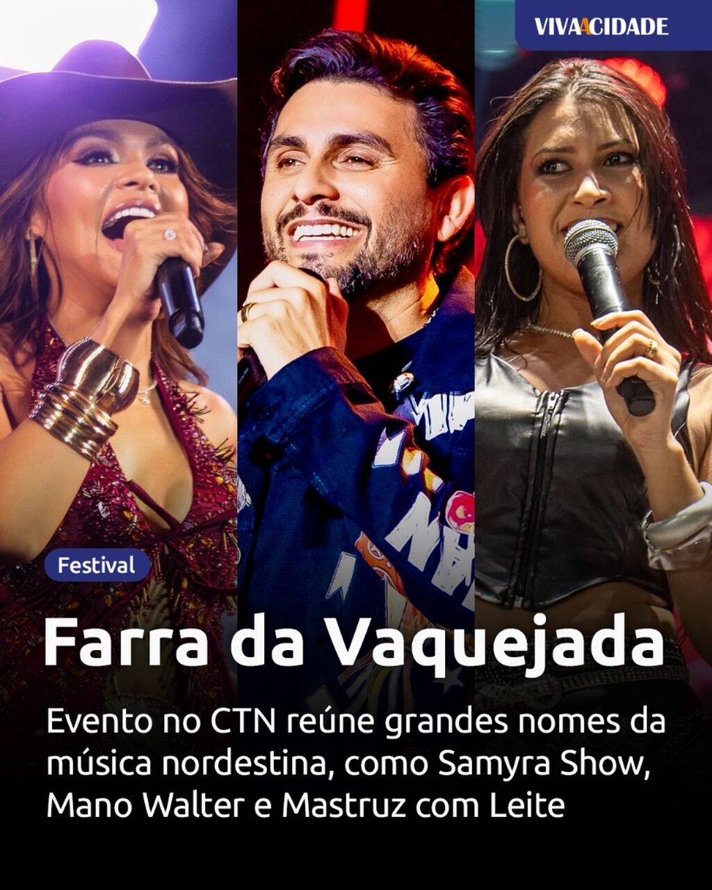 Farra da Vaquejada