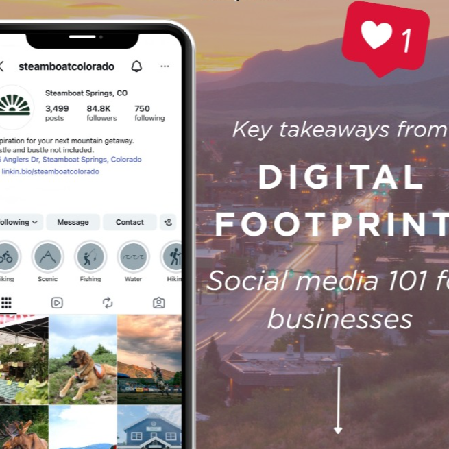 Watch Here: Digital Footprint Webinar Recording