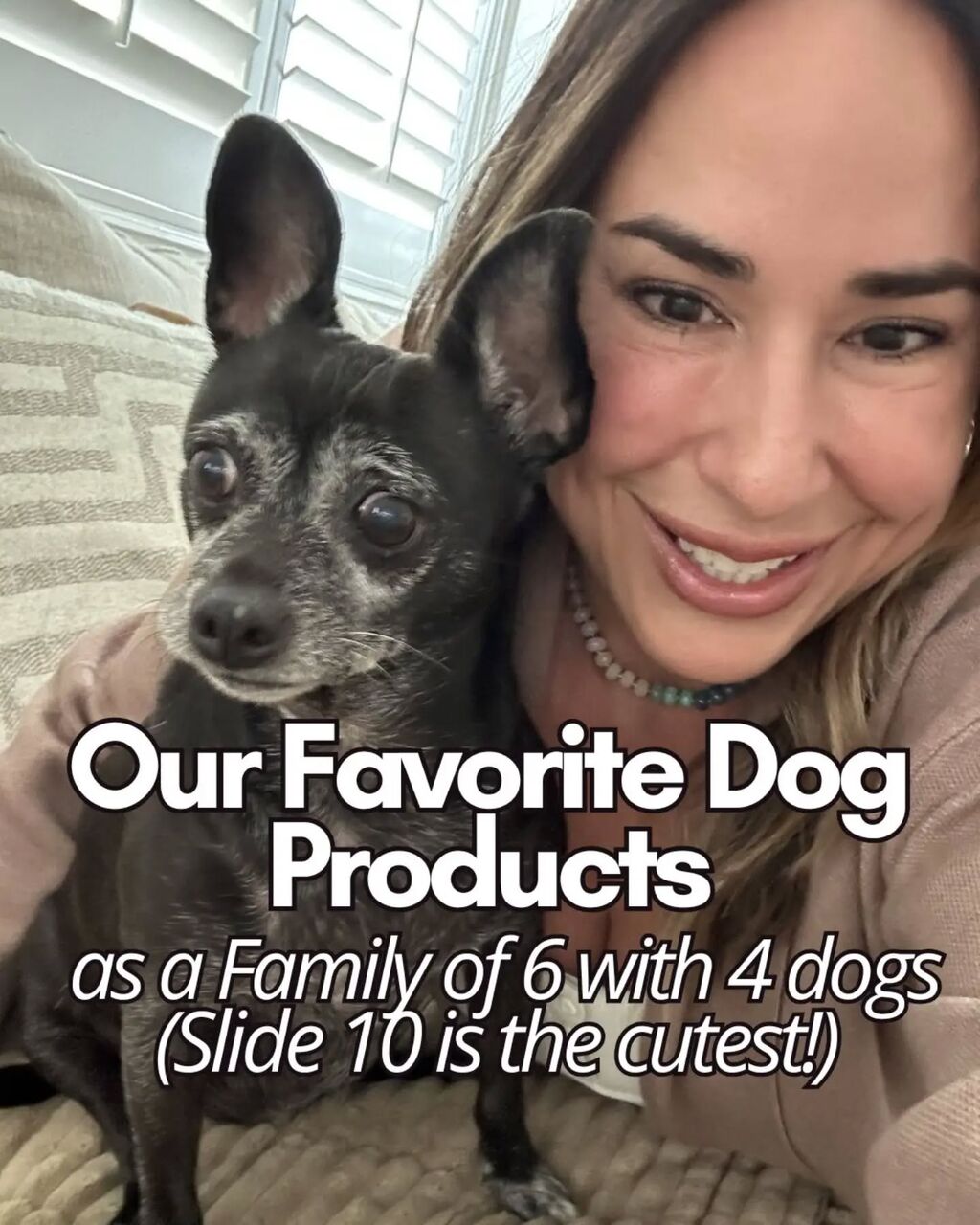 Our Favorite Dog Products: As A Family 6 with 4 Dogs
