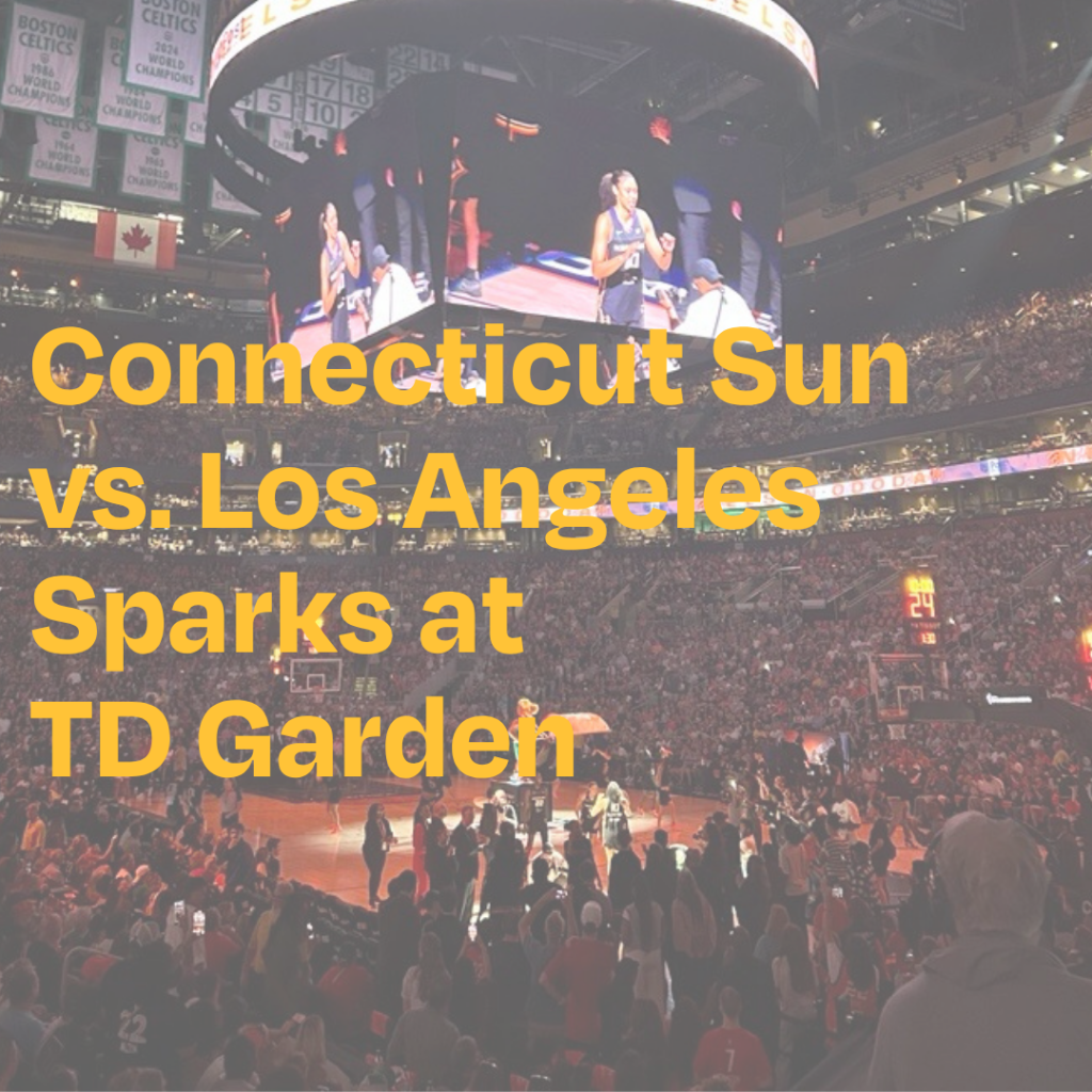 Connecticut Sun at TD Garden