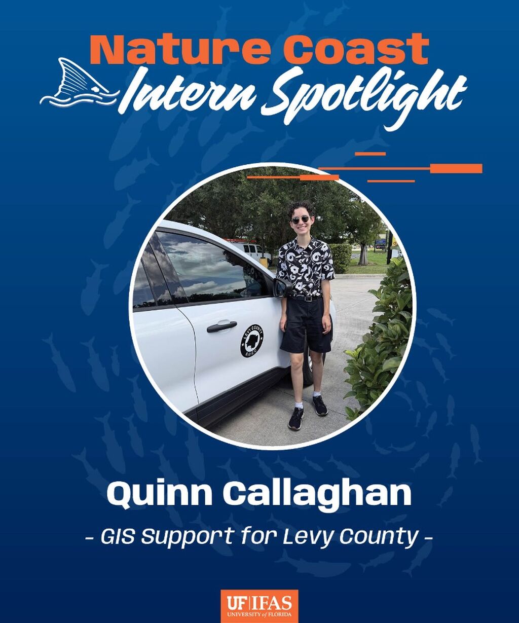 Intern Reports