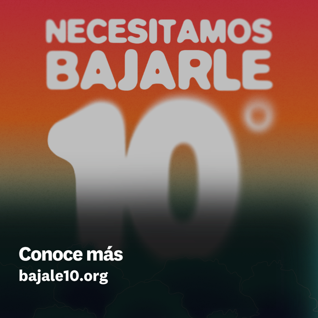 Conoce m&aacute;s en bajale10.org 