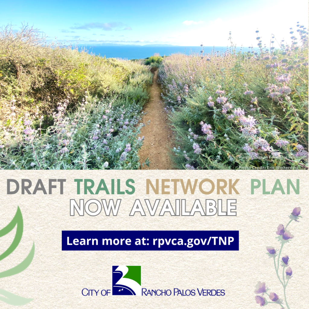 Trails Network Plan Update