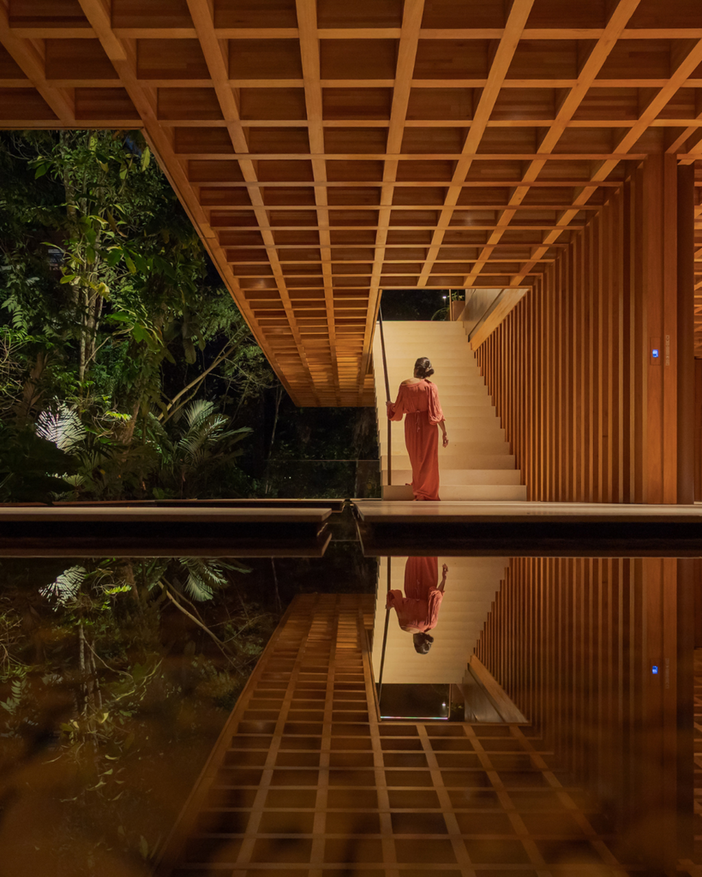 Floating Above the Brazilian Forest