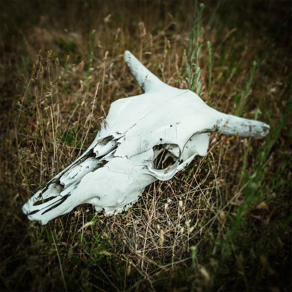 SLOTHRUST | TWO NEW SINGLES OUT NOW