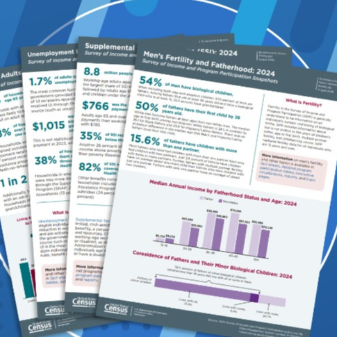 Data Snapshots: Survey of Income and Program Participation