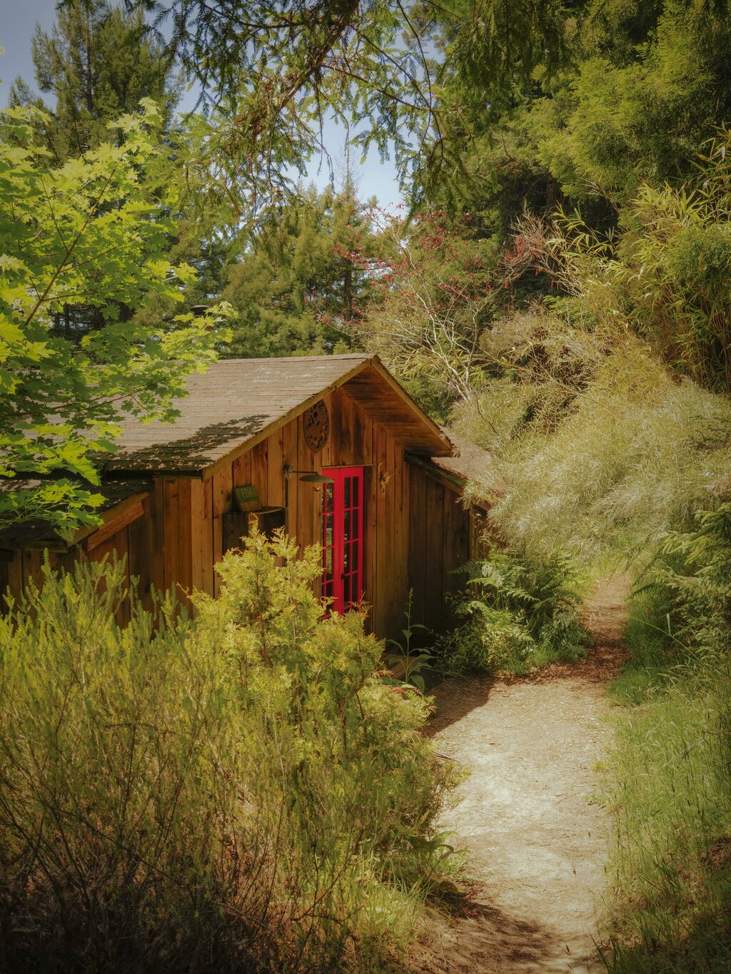 Special Place- Savannah White in Salmon Creek Farm