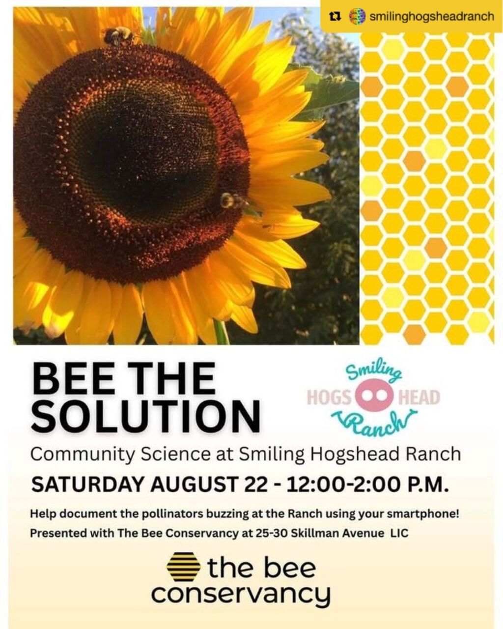 8/22, 12pm | Bee the Solution (Smiling Hogshead Ranch)