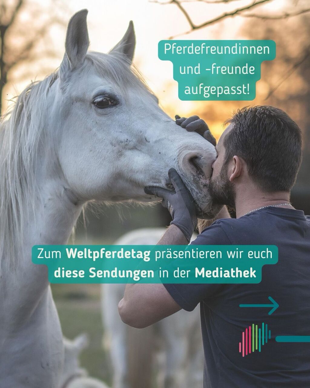 Pferde und Reiten