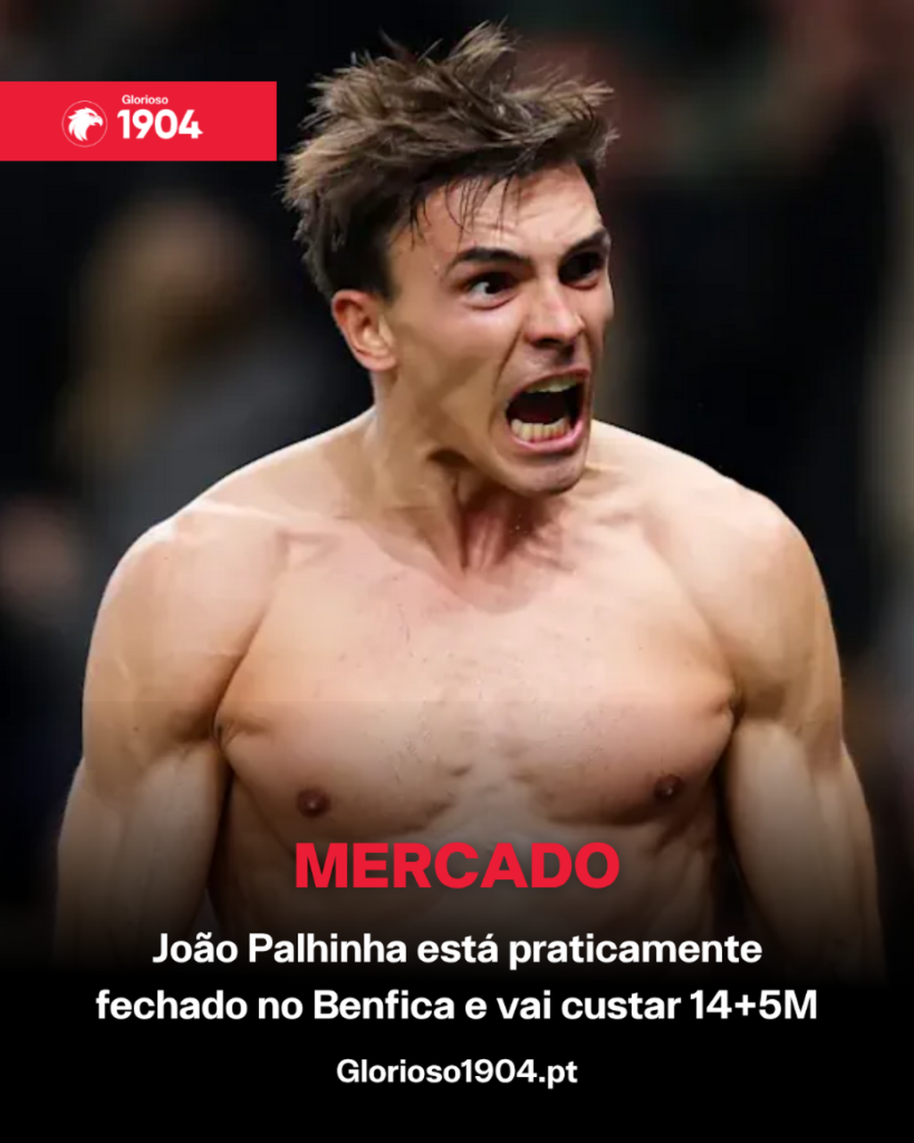 H&aacute; quem garanta que Palhinha est&aacute; fechado no Benfica e que vai custar 14+5M