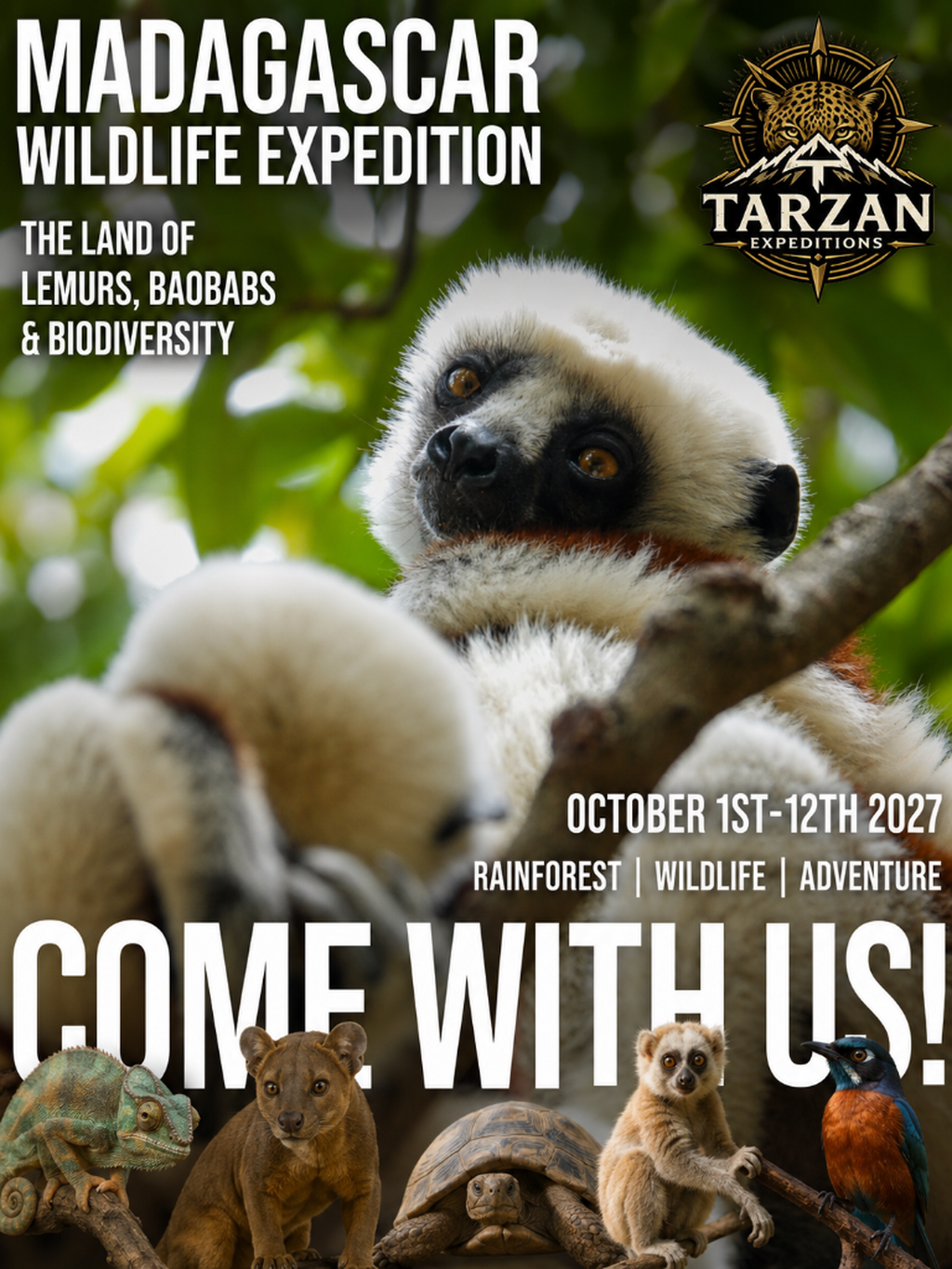 🐒 explore madagascar with me! 🦎 only 10 spots left!