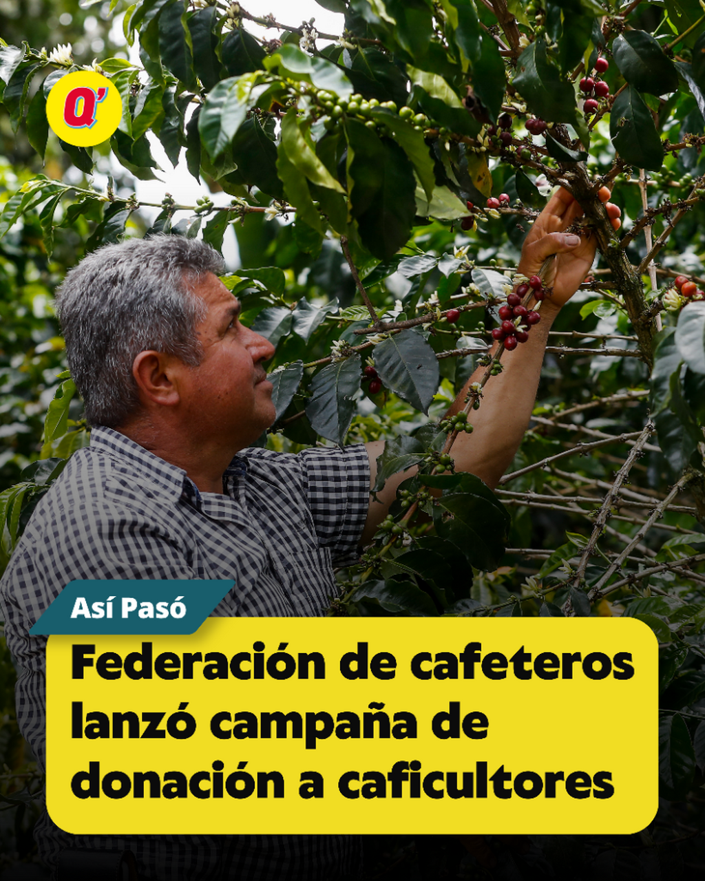 Federaci&oacute;n de cafeteros lanz&oacute; campa&ntilde;a de donaci&oacute;n a caficultores