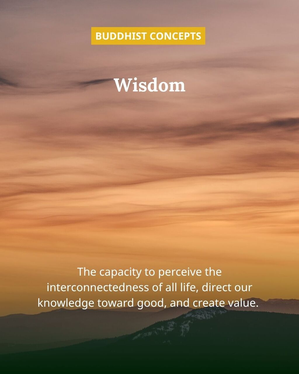 Wisdom