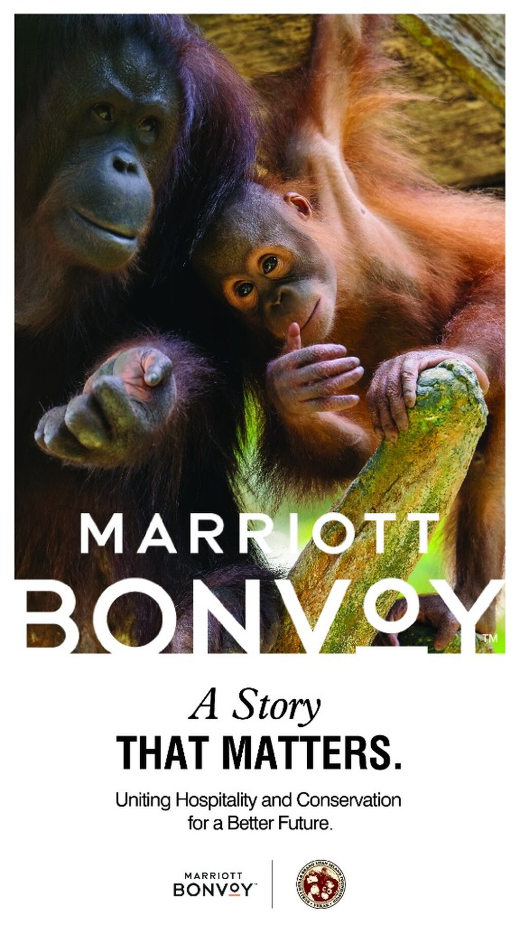 Marriott Bonvoy x Bukit Merah Orang Utan Island Foundation
