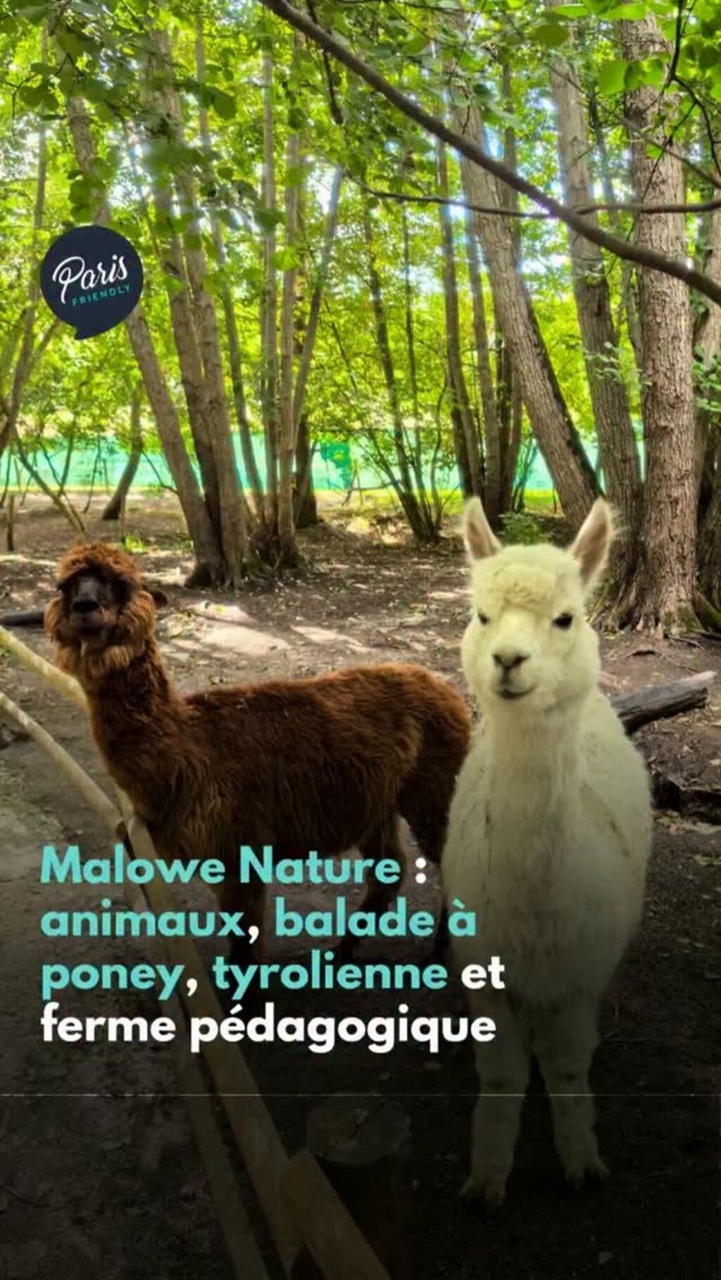 Malowe Nature 