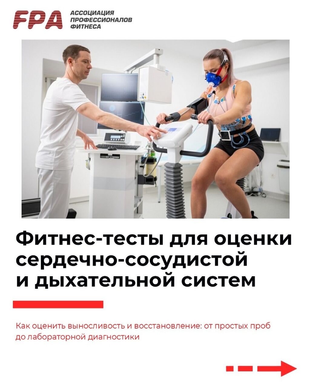 карточки