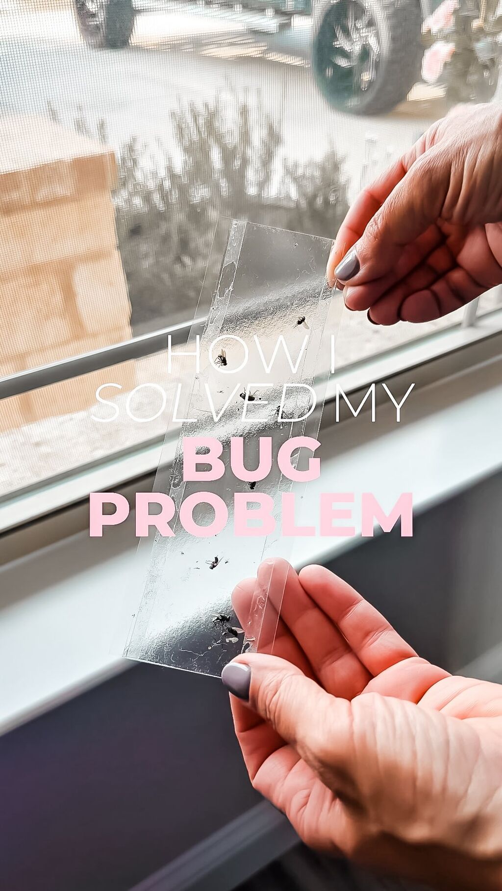BUG CATCHING MUST HAVES