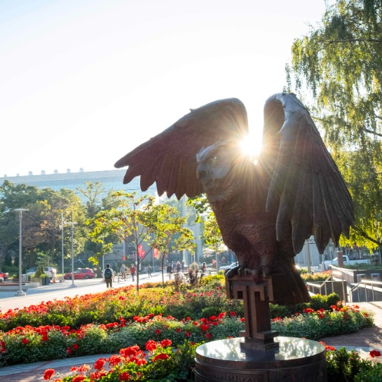 A welcome message from Dean Hansen