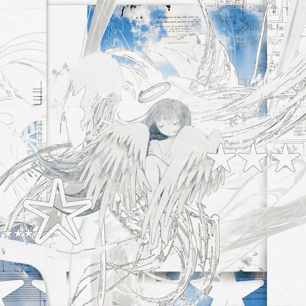 wings break
