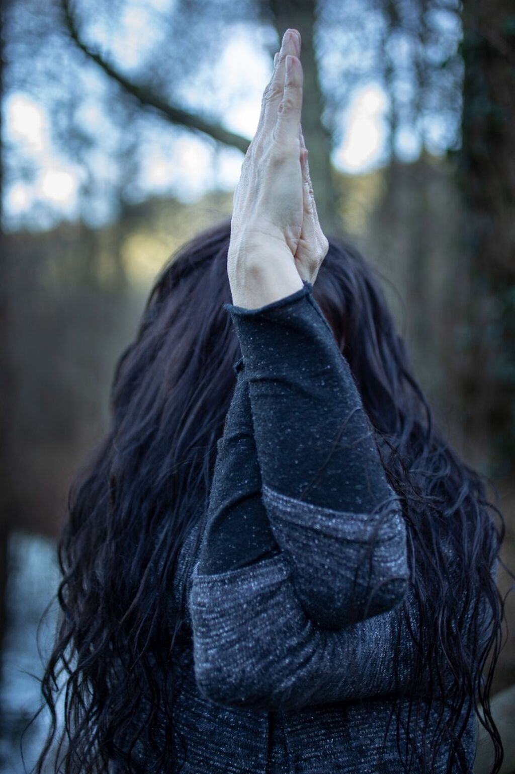 The Tao of Yoga (pdf)