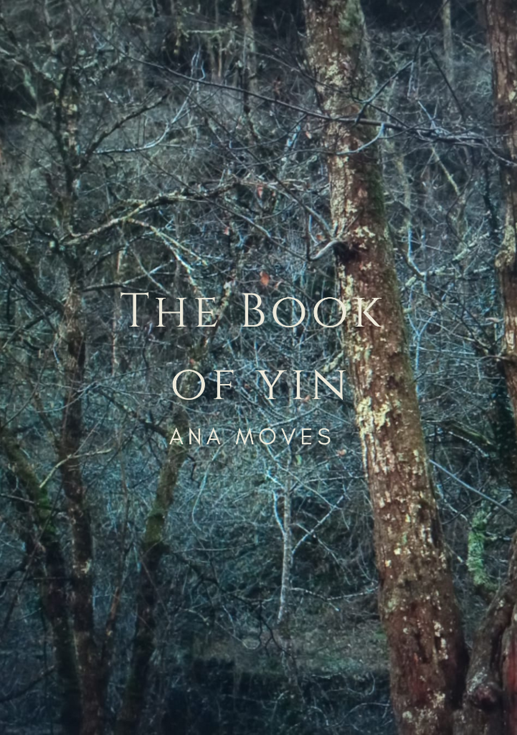 The Book of Yin (pdf)