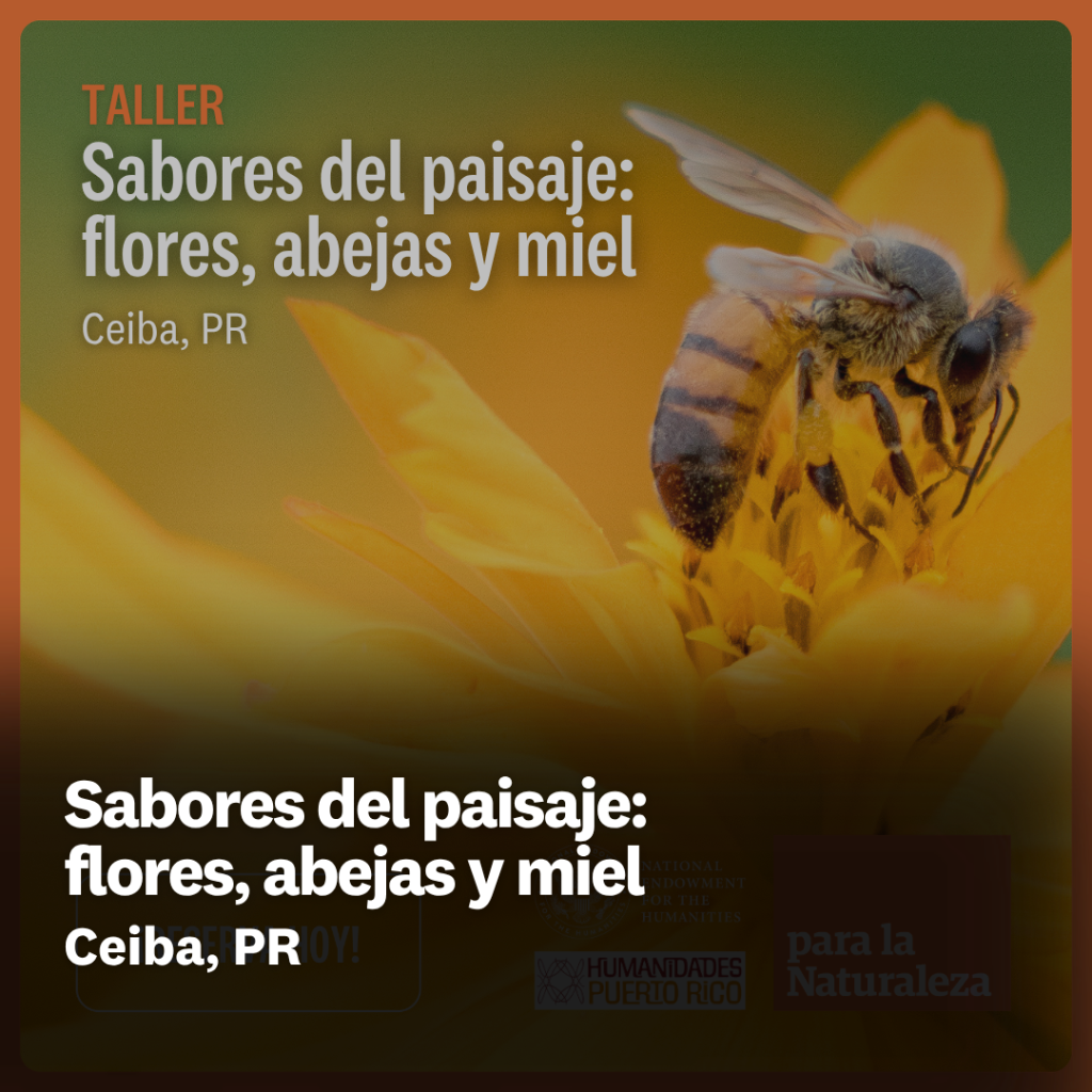Sabores del paisaje: flores, abejas y miel