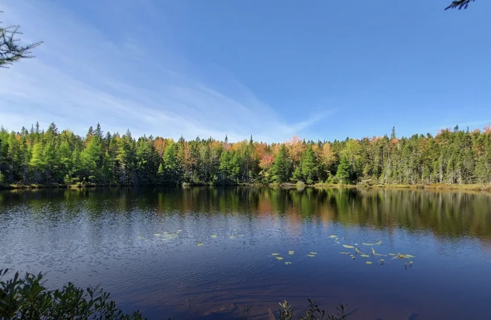 If you live near, work near, or spend time around the Dartmouth Lakes or Nine Mile River, Halifax wants to hear from you