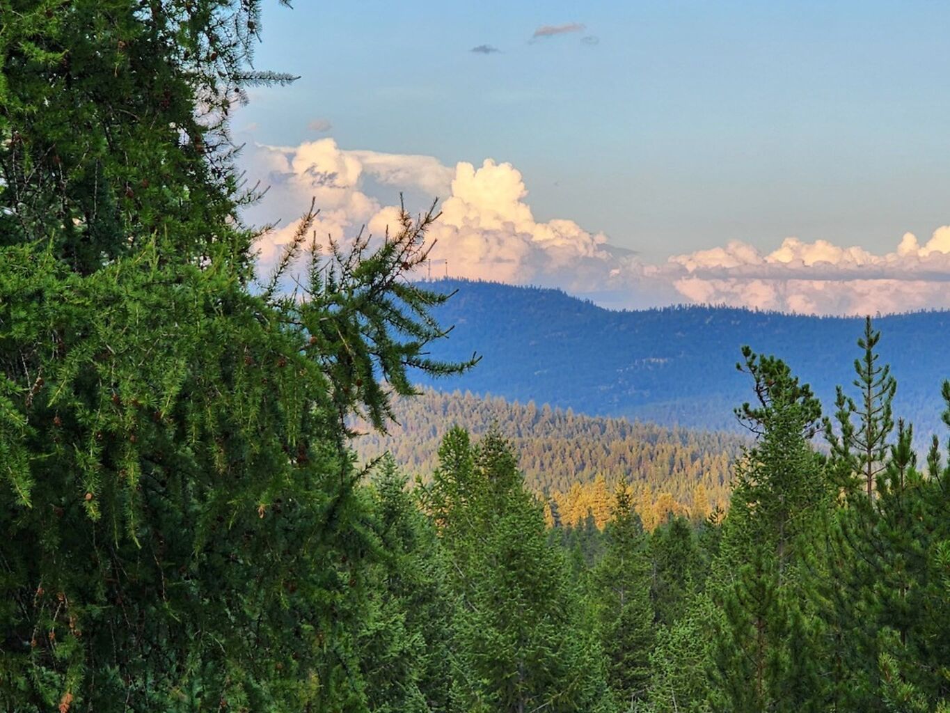 No Covenants | 5.92 Acres | Mountains | Freedom