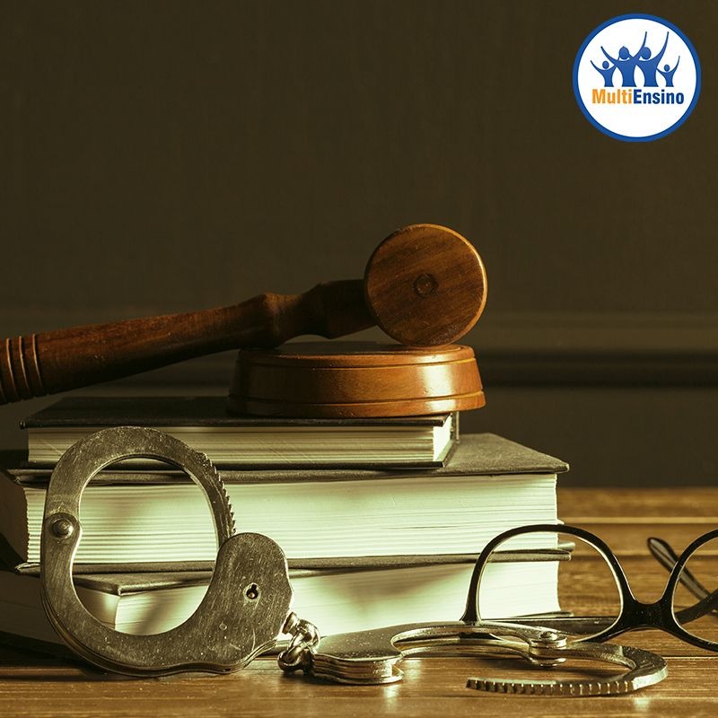 Especializa&ccedil;&atilde;o em Seguran&ccedil;a P&uacute;blica e Pol&iacute;tica Criminal