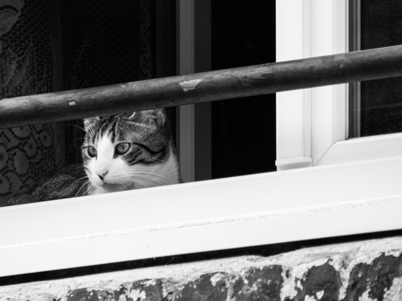 Balades photographiques