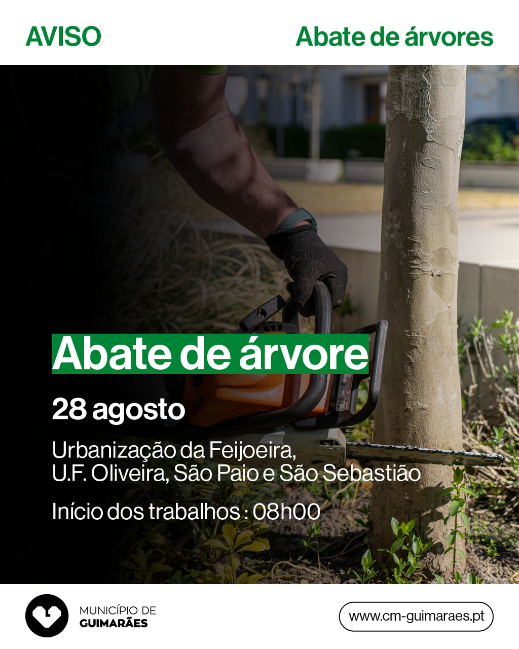 Abate de um arb&oacute;reo por raz&otilde;es de seguran&ccedil;a