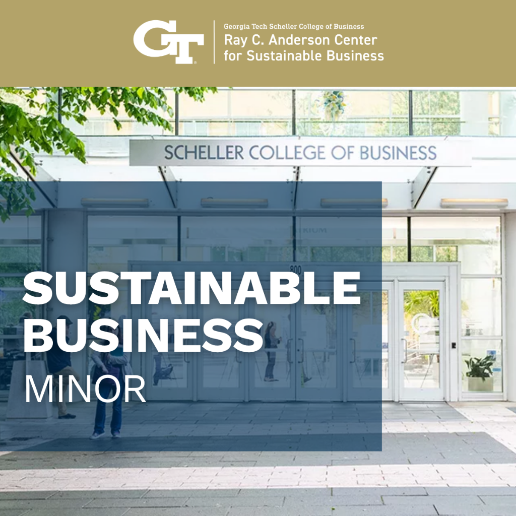 Sustainable Business Minor