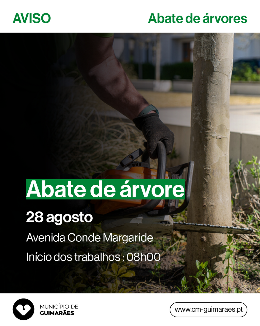 Abate de um arb&oacute;reo por raz&otilde;es de seguran&ccedil;a