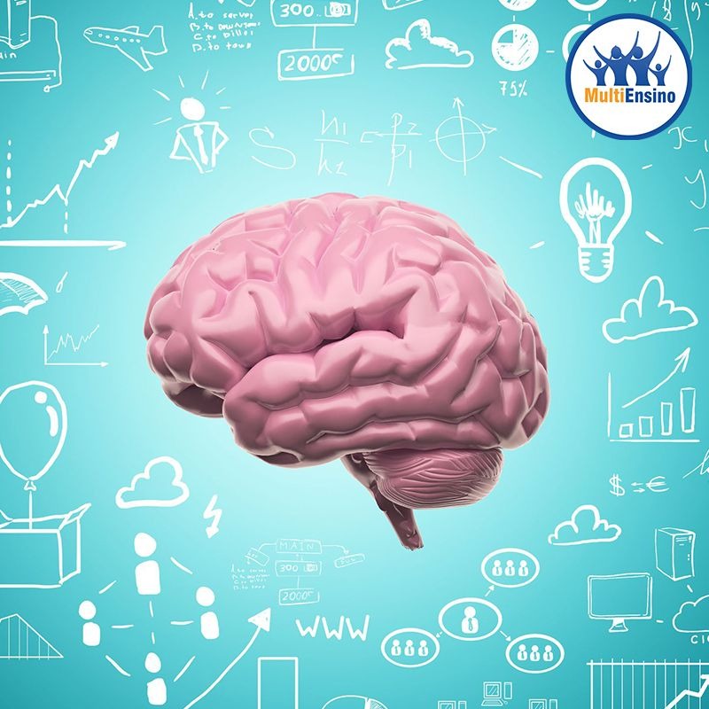 Especializa&ccedil;&atilde;o em Neuroeduca&ccedil;&atilde;o