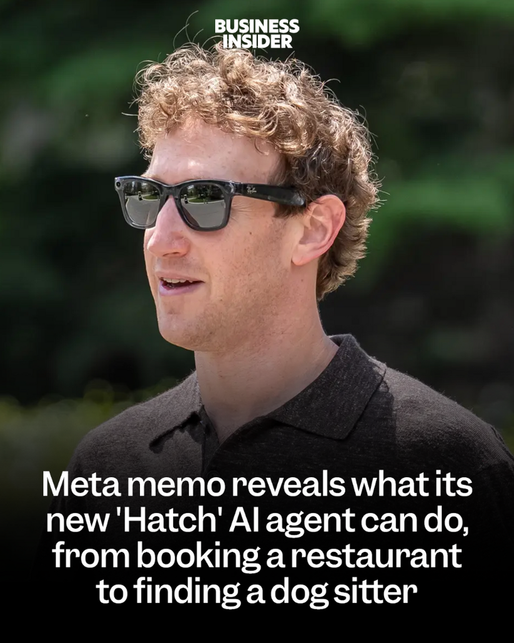 Meta memo reveals what its new 'Hatch' AI agent can do, from booking a restaurant to finding a dog sitter