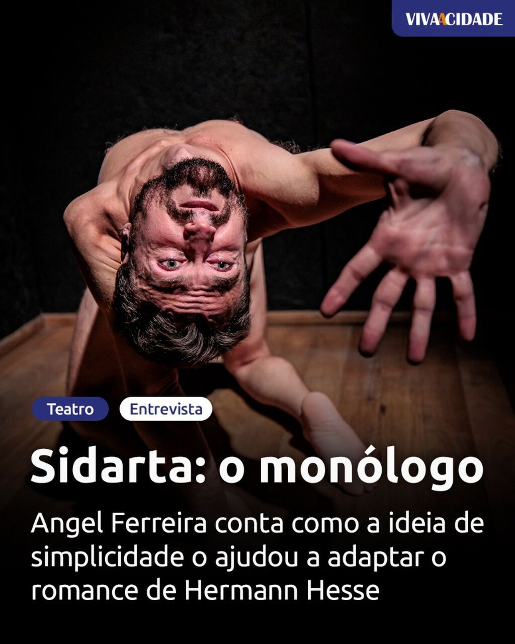 Sidarta: o mon&oacute;logo