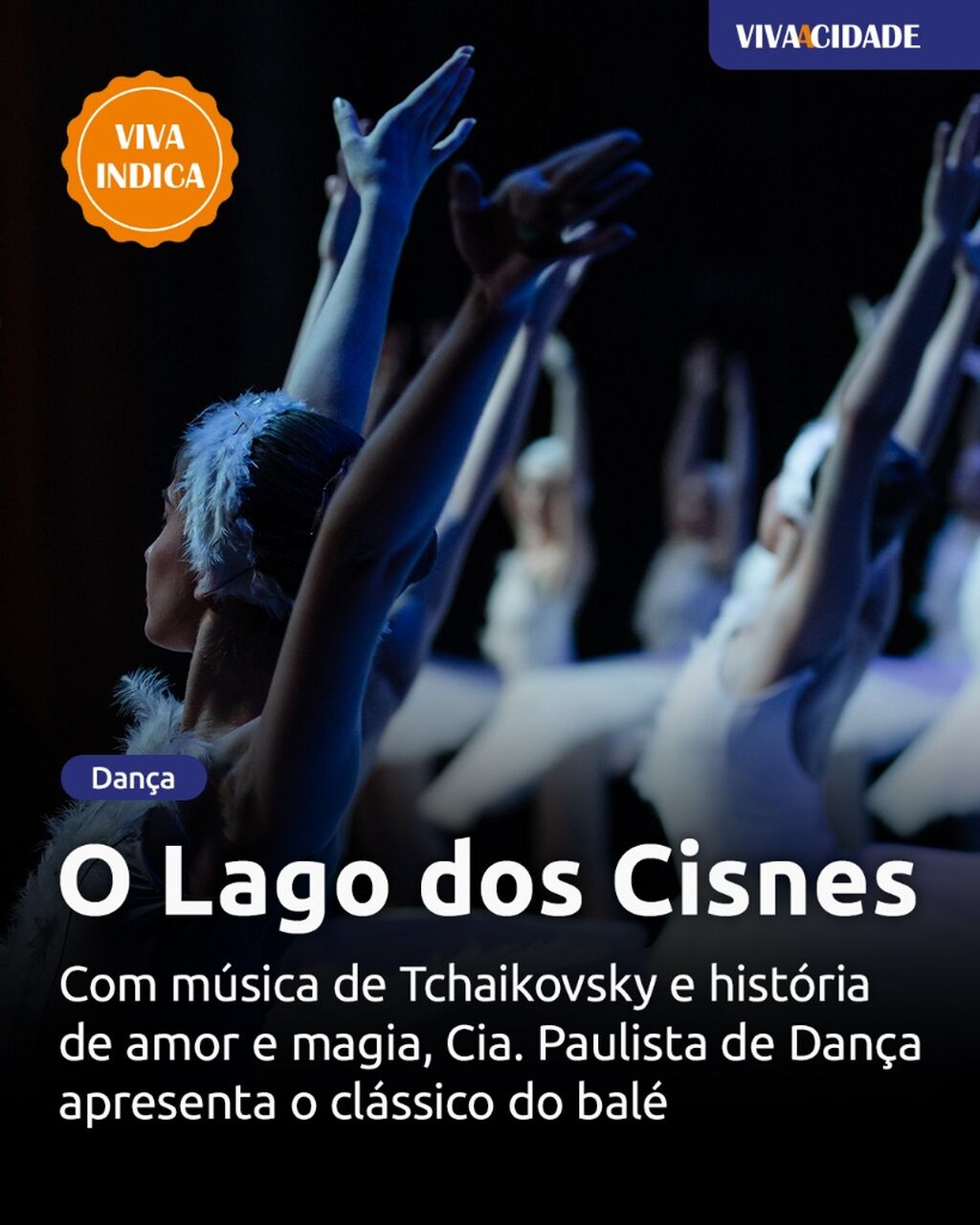 O Lago dos Cisnes