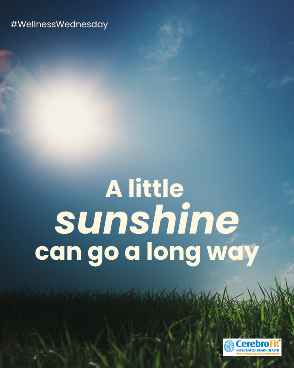 A little sunshine can go a long way
