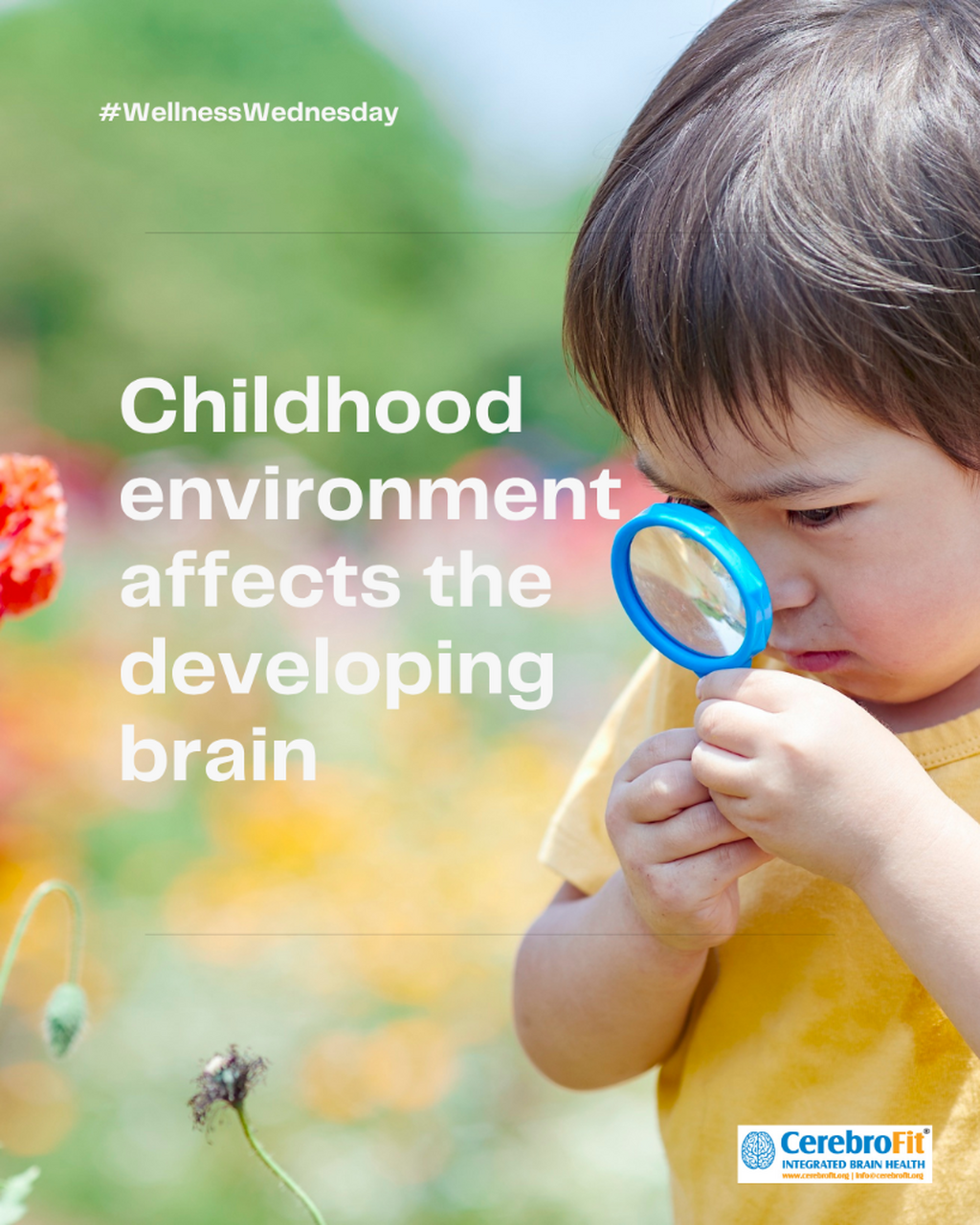 Childhood environment affects the developing brain