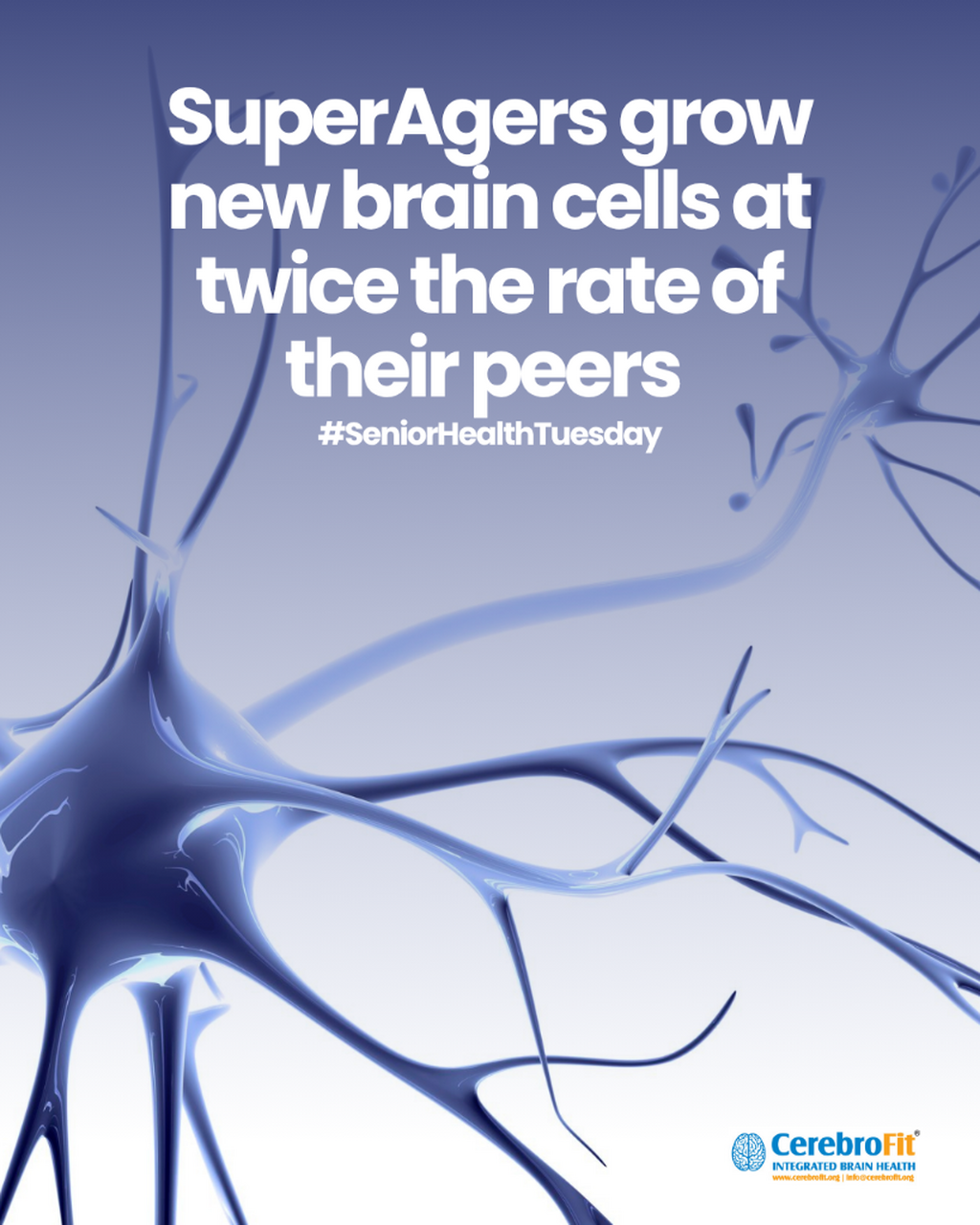 SuperAgers grow new brain cells at twice the rate of their peers