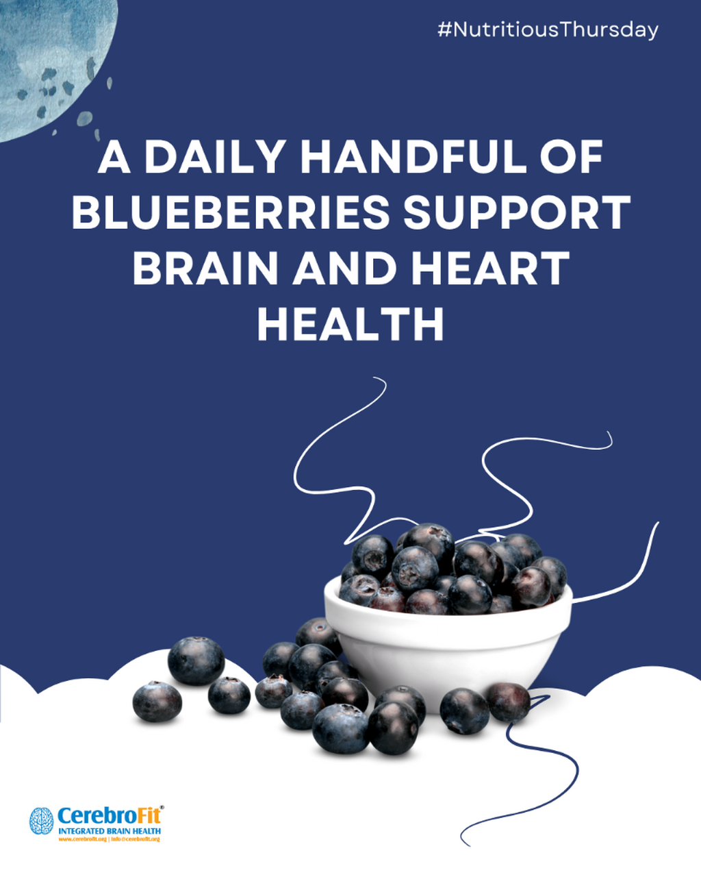 A Daily Handful of Blueberries Supports Brain and Heart Health