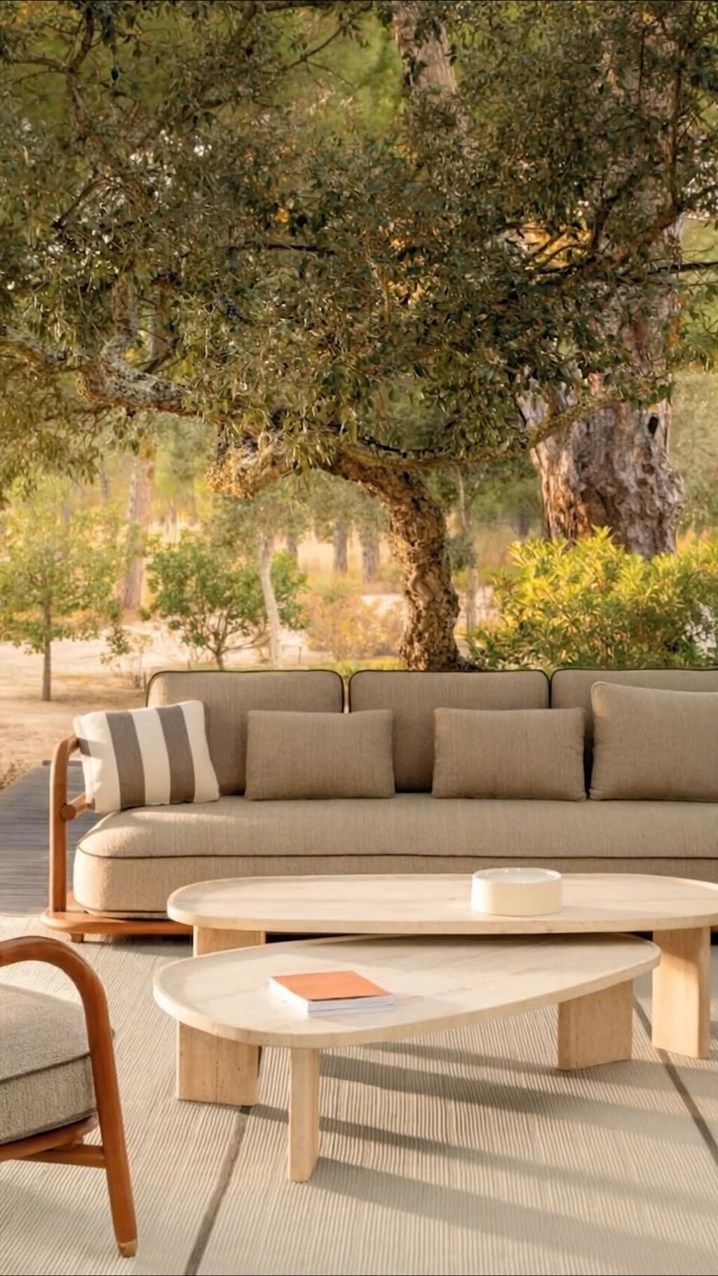 Meridies, a collection where wood moves with the fluidity of rattan