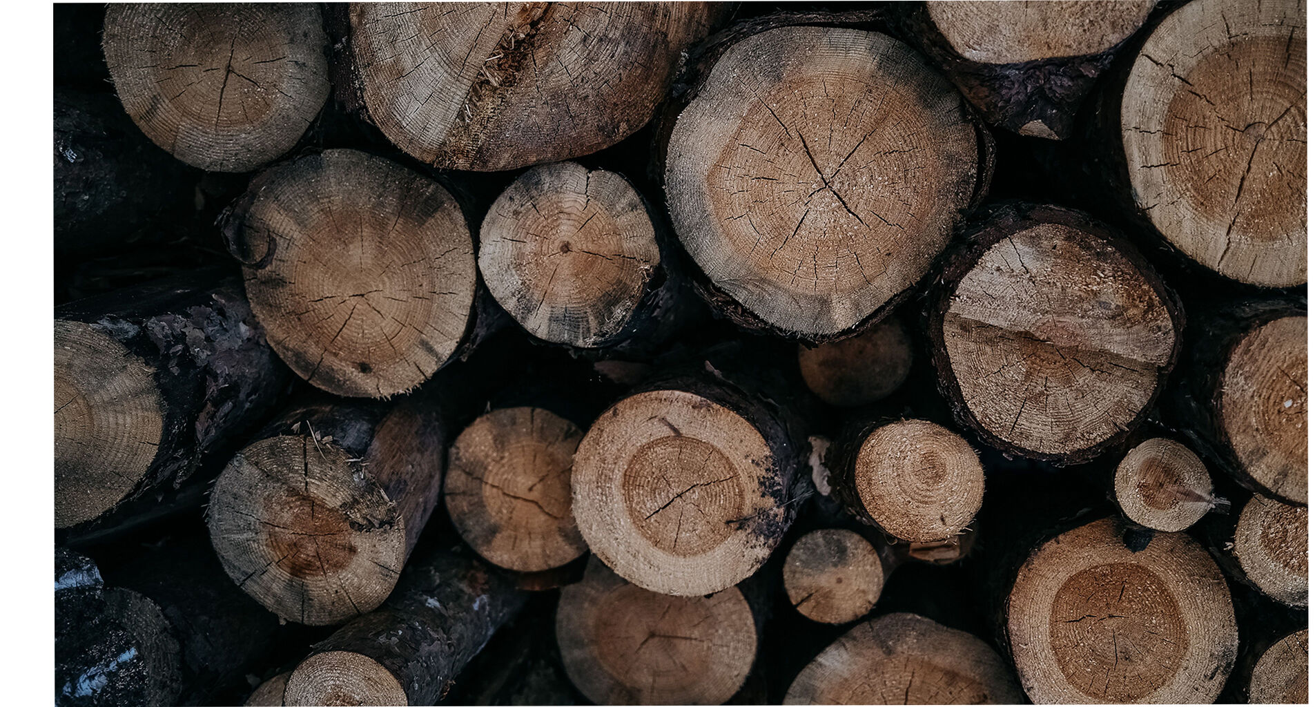 Timber, Reconsidered: Debunking the Myths Around Wood in South African Design