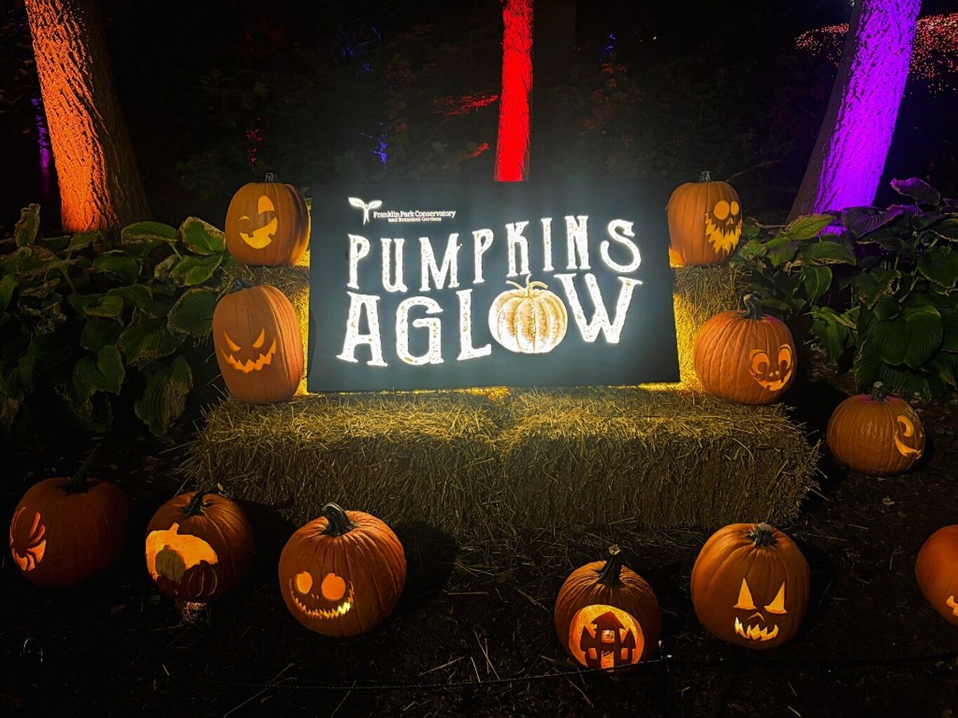 Pumpkins Aglow