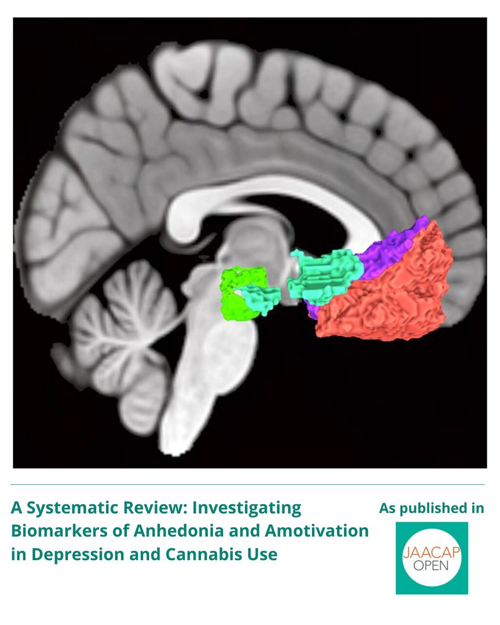 A Systematic Review: Investigating Biomarkers of Anhedonia and Amotivation in Depression and Cannabis Use